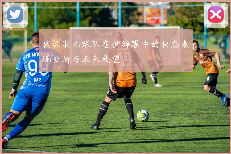 武汉羽毛球队在世锦赛中的状态表现分析与未来展望